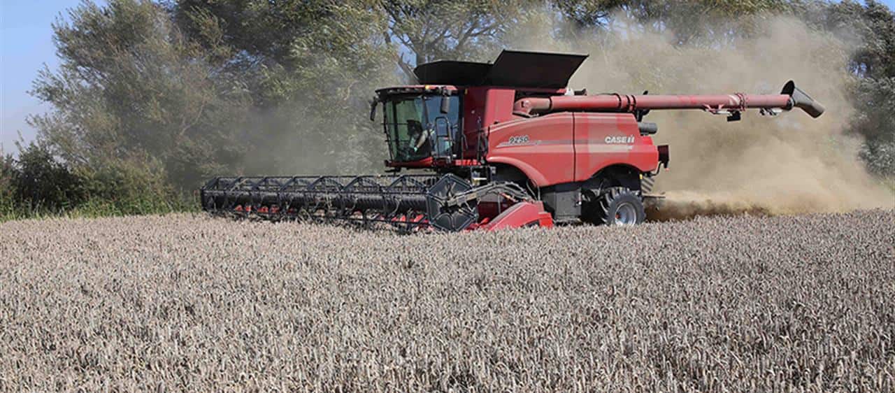 Axial-Flow 9250 combine delivers for Kent farm